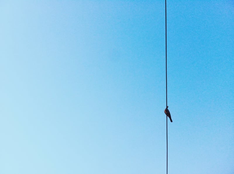 Promises Made by a Reaktor Developer Had an Impact on the Industry