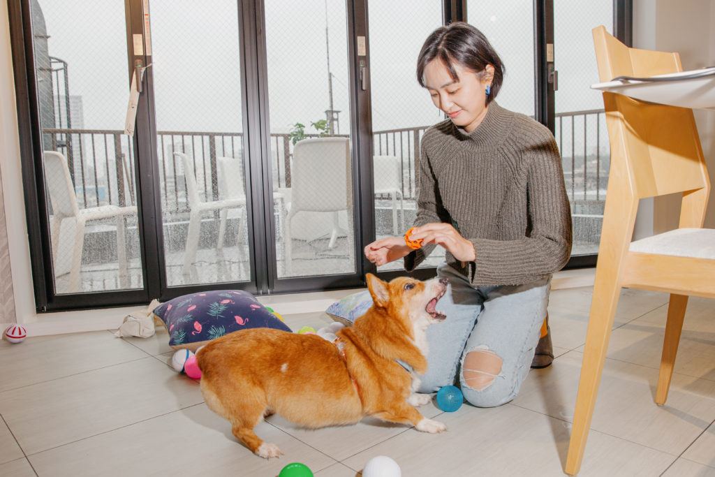 Zikun Chen with her dog Bambbi at Reaktor Tokyo office
